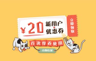 貓咪嫌地上濕直接路人腳上棲身，數(shù)字文化創(chuàng)意內(nèi)容應(yīng)用服務(wù)如何玩轉(zhuǎn)萌寵熱點(diǎn)